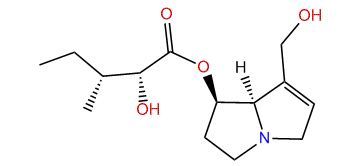7-(2-Hydroxy-3-methylpentanoyl)-retronecine